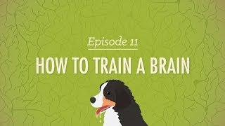 How to Train a Brain Crash Course Psychology 11 [upl. by Abrahamsen374]