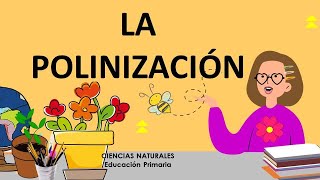 🐝🐤🌷🍎 LA POLINIZACIÓN 🐝🐤🌷🍎 CREACIÓN DE FRUTOS [upl. by Emylee]