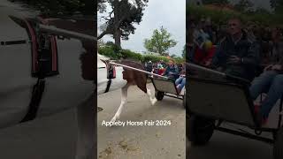 Appleby Horse Fair 2024 [upl. by Ahsieyk596]