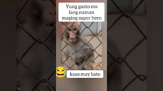 panira yung bato [upl. by Ahsial]