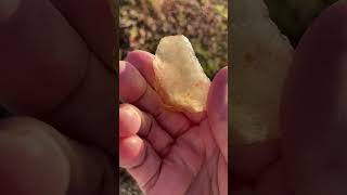 ✨Gold Tektite Libyan Desert Glass✨ crystalsquared12etsycom tektitedesertglassyoutubeyoutuber [upl. by Oicam863]