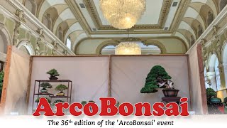 ARCO BONSAI 22 [upl. by Nylireg]