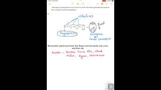 Monosporic development and Monocarpic plant shortsvideo [upl. by Devol]