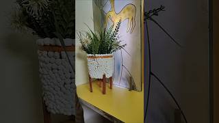 Reuse old box as a planter diy reuse viralvideo reuseidea viralplanter shortsvideo handmade [upl. by Eissalc]