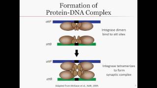 Gateway recombination [upl. by Erreit]