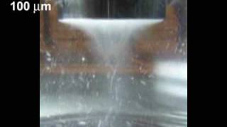 Ultrasonic cavitation in water produced by a Barbell Horn with a 75 mm tip diameter [upl. by Anitsyrk165]