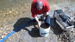 Cleaning Gold Sluice Mats [upl. by Giacopo]