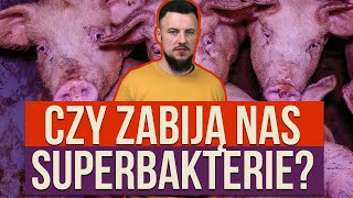 Antybiotyki superbakterie i przemysłowa hodowla zwierząt [upl. by Gayl10]