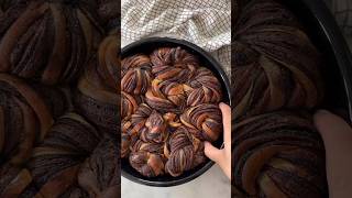 Cocoa amp Nutella Yeast Cake Recipe 😋  Village Cooking Guide [upl. by Jasun547]