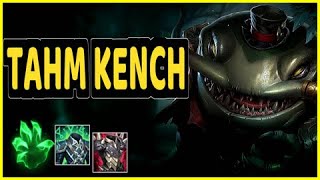 TAHM KENCH GAMEPLAY [upl. by Anelac]