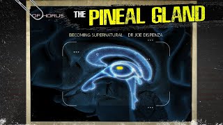 The Pineal Gland extremely detailed explanation [upl. by Attennaj]