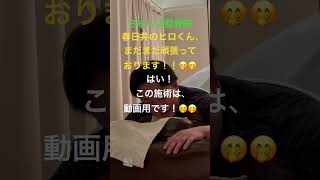 【悶絶整体56】ささしま整骨院 ヒロくん 実体験④ 肩こり 腰痛 骨盤矯正 猫背矯正 姿勢矯正 マッサージ 名古屋 shorts [upl. by Nnaeirual]