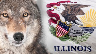 Illinois Passes Historic Measure To Fight Money In Politics [upl. by Llebiram]