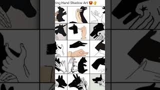 Amazing hand shadow like subscribe [upl. by Baer]