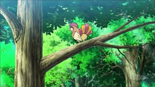 Pidgeotto Pokédex Entry  Advice To Goh [upl. by Heydon]