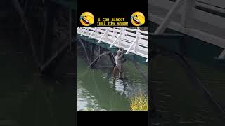 Funny fishing failure 😂shorts shortstrend shortschallenge shortsvideo trendingshorts [upl. by Arahset]