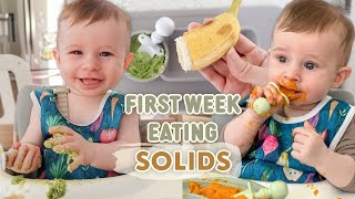 First Week of Our Baby Led Weaning Journey  Babys First Food and Starting Solids [upl. by Deevan298]