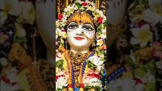 Tumse prit lagi hai rade song Radhe Radhe  radharani radha radheradhe shorts [upl. by Icats]