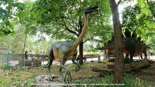 Ornithomimus Korkeasaari Zoo [upl. by Howlend]