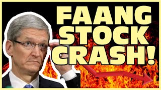 FAANG STOCKS CRASH [upl. by Sliwa]