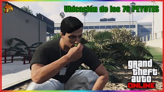 GTA 5 Online  UBICACIÓN DE LOS 76 PEYOTES EN ORDEN 380000RP [upl. by Elyl]