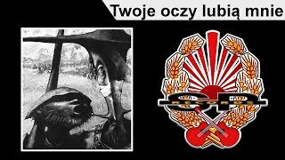 STRACHY NA LACHY  Twoje oczy lubią mnie OFFICIAL AUDIO [upl. by Yelac619]