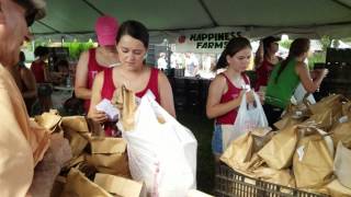 Lake Placid Caladium Festival 2017 [upl. by Akinhoj]