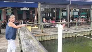 Catfish at Squid Lips Cocoa Beach Florida [upl. by Drofdeb]