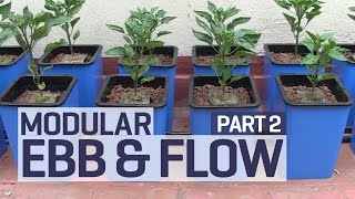 How to set up an Ebb and Flow  Flood and Drain Hydroponics Growing System  PART 2 of 6 [upl. by Hahn]