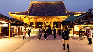 浅草 桜 浅草寺  Remake  Asakusa Cherry Blossoms and Sensoji Temple in Tokyo Japan April 11 2024 [upl. by Sikes]