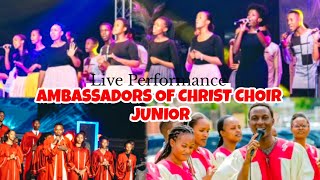 Ambassadors of Christ Choir Junior  Indirimbo nziza cyane Live concert 2024 [upl. by Giffard]