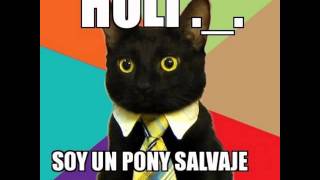 Pony Salvaje [upl. by Nahn]