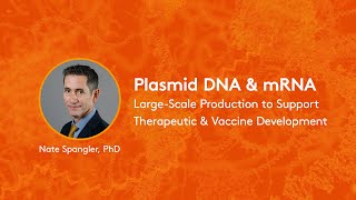 LargeScale Production of Plasmid DNA amp mRNA to Support Therapeutic amp Vaccine Development [upl. by Domela387]