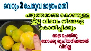 മാങ്ങ കൊണ്ട് കൊതിപ്പിക്കും രുചിയിലുള്ള ഈ ഐറ്റം കഴിച്ചിട്ടുണ്ടോ  Mango Recipe [upl. by Anawait34]