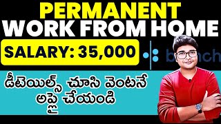 Permanent Work from Home job  Online job at Home  Salary35KMonth  Latest jobs 2024VtheTechee [upl. by Orfinger]