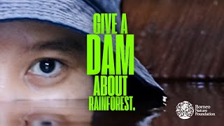 Give a DAM about rainforest [upl. by Bahner245]