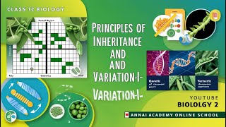 Unraveling Genetics The Principles of Inheritance and Variation Explained [upl. by Ilona286]