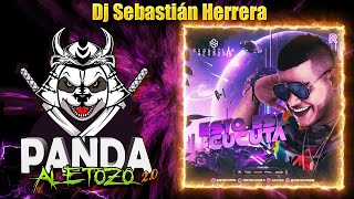 SET ESTO ES CUCUTA 10 SEBASTIAN HERRERA DJ [upl. by Ferdinanda]