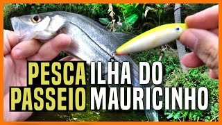 ILHA DO MAURICINHO EM ITANHAÉM  Super local de pesca e passeio com a família muita informação aqui [upl. by Wedurn]