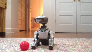 Zoe the Aibo ERS220 [upl. by Eiramnerual352]