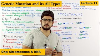 Mutation and its Types  Lecture 11 [upl. by Kirt]