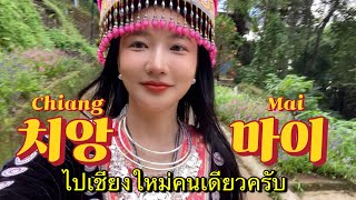 혼자 떠난 치앙마이 도이수텝 사원 갔다가 도이뿌이 마을까지 Chiang mai Vlog🇹🇭 ep3 ไปเชียงใหม่คนเดียวครับ [upl. by Meisel]