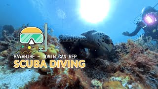 SCUBA DIVING  Bayahibe 102024 [upl. by Tenom972]