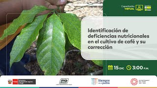 Identificación de deficiencias nutricionales en el cultivo de café y su corrección [upl. by Isola830]