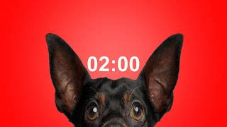 2 Minute Timer for School amp Homework  Dog Bark Alarm Sound  Stay Focused amp Productive [upl. by Rehposirhc]