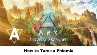 How to Tame a Phiomia in ARK Survival Ascended Quick amp Easy [upl. by Ecienahs566]