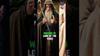 5 Wizards of Lord of the Rings Heroes or Villains [upl. by Trepur]