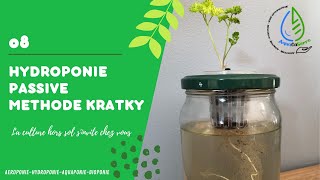 La méthode hydroponique Kratky [upl. by Liss657]