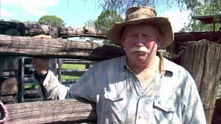 Reportage 360 Geo Reportage Australiens Rinderfarmer [upl. by Airamahs]