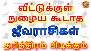 நம் வீட்டுக்குள் வரக்கூடாத உயிரினங்கள் வந்தால் என்ன ஆகும்  veetukul nulaiya koodatha pranikal [upl. by Omocaig]